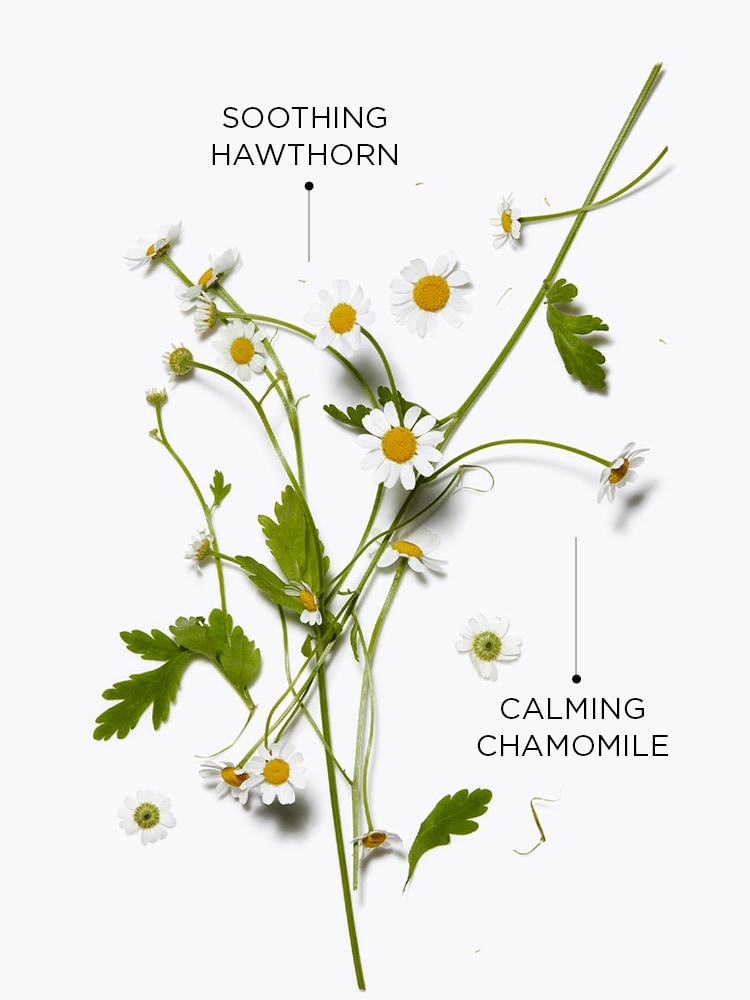 INTRAL Cleansing Milk Milky emulsion removes makeup and impurities for sensitive skin prone to irritation, 200 ml